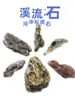 Piedra de Paisajismo para Acuario Piedra de Corteza de Pino Piedra Nativa para Tanque Piedra de Arroyo para Jardinería Bonsái Decoración de Paisajismo Piedra de Arroyo para Tanque