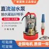 Bomba sumergible DeTao DC 48v60v bomba para vehículo eléctrico alto rendimiento 12V bomba sumergible motor de cobre puro
