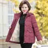 Casaco de Algodão de Inverno para Mãe, Jaqueta Curta Estilosa da Moda, Novo Modelo 2025, Jaqueta Acolchoada de Algodão para Mulheres de Meia-Idade e Idosas, Roupa de Inverno com Acolchoado de Algodão