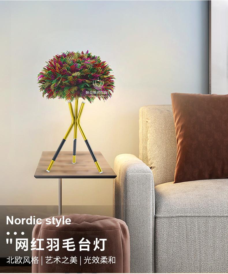 描述图_3.jpg