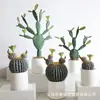 Ornamento Decorativo de Cacto Simulada Cactus de Interior Planta Verde Tropical do Deserto Paisagismo Vitrine Floreira Exibição