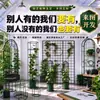Cesta de Plantio Hidropônico Equipamento de Cultivo Sem Solo para Vegetais Plástico Aprofundado Plantio Azul Copo de Plantio para Plantas Hidropônicas Fixador de Raízes