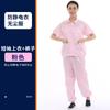 Roupas de trabalho antiestáticas divididas sem poeira Roupas estáticas azuis e brancas Protetor de manga curta Chapéu Top Oficina de fábrica de eletrônicos