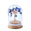 Capa de vidro de cristal natural, árvore de cristal, árvore da fortuna, árvore da vida, decoração, decoração, faça você mesmo, capa de vidro, decoração
