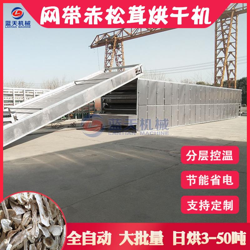 阿里.jpg