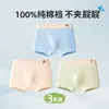 Ropa interior para niños, Algodón puro, Algodón clase a, Para adolescentes, Período de desarrollo, Niños, Niños medianos y grandes, Calzoncillos bóxer talla grande