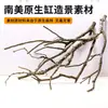 Árbol para paisajismo de acuario sudamericano, ramas secas, ramas de peral amarillo, decoración de sustrato, pecera pequeña, ramas naturales, decoración de paisajismo y paisajismo.