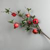 Frutas Romã Artificiais Enfeites Decorativos para Sala de Estar, Mesa de Jantar, Hall de Entrada; Galhos de Frutas Caqui Artificiais; Arranjo de Flores Decorativo