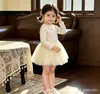 Vestido para Niña Primavera Otoño Estilo Coreano Ropa Infantil Blanco Crudo Encaje Cuello Redondo Manga Larga Patchwork Malla Falda Esponjosa Falda de Gasa Princesa