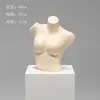 Accesorios de Modelo de Ropa Interior Torso Femenino Masculino Soportes de Exhibición de Ventana de Plástico Maniquí Apilamiento de Pecho De Zhu