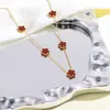 Conjunto de joias de aço inoxidável de trevo de cinco folhas, pulseira, colar e brincos simples e estilosos de flor de cinco folhas, joias que não desbotam
