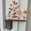 Flores Artificiales, Flores Secas Estilo Wabi-Sabi, Hojas Secas, Frutos de Pipa, Hortensias de Borde Tostado, Materiales Florales Vintage, Frutos de Espino Marítimo, Decoraciones de Mesa, Flores de Seda