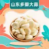 Entrega mayorista de cabezas de ajo multi-diente de Shandong 1/2/3/5/4.5 kg ajo seco cabezas de ajo de cuatro-seis-dientes ingredientes de verdura fresca