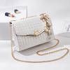 2024 Nuevo Bolso de Mujer de Moda Estilo Ins Bolso Bandolera de un Solo Hombro Bolso de Mano Versátil de Moda Cadena Estilo Chanel