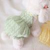 Vestido de princesa fino e fresco para cachorro de pelúcia VIP urso de estimação gato Bomei saia de verão para cachorro pequeno