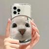 Funda de Teléfono de Dibujos Animados para iPhone 17 Pro Max, Adecuada para Gatos, Linda para iPhone 16 Pro, Apple 13/14, Agujero Grande para iPhone 15