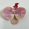 Cabeza de Flor de Orquídea Mariposa Artificial Súper de Hada, Nueva Pinza para el Cabello de 9 cm Accesorios de Playa al por Mayor