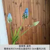 Diseño de Escena de Boda con Flores Artificiales Azules, Arreglo de Piso con Flores Falsas, Phalaenopsis, Tulipanes, Arreglo Floral Decorativo Suave