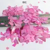 Fragmentos de concha Fragmentos brilhantes de madrepérola Glitter para nail art Adesivos para celular DIY Acessórios para joias DIY