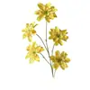 Nova Flor Begônia de Cinco Cabeças Casamento Flor Artificial Atacado Celebridade da Internet Decoração de Casamento Decoração Suave Adereços de Fotografia Flor Falsa