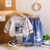 Conjunto de Primavera y Otoño para Niño 2025 Nuevo Sudadera Elegante para Niños Conjunto de Dos Piezas Ropa Infantil de Moda de Primavera y Otoño al por Mayor