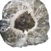 Gorro de Ducha Desechable con Banda Elástica, Plástico PE, para Teñir el Cabello, Tratamiento Capilar, Baño, Al Por Mayor, Engrosado, Duradero, Impermeable