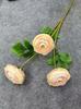 3 Lasanha Lurian Lurian Casamento Auditório Simulação Floricultura Decoração Suave Decoração Decorativa Mesa de Flores Vaso de Flores Colocação de Flores