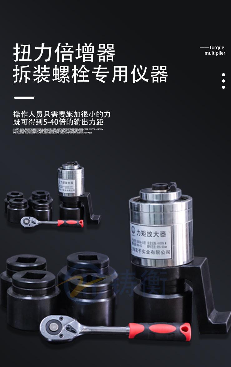新扭矩放大器_04.jpg