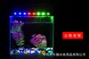 Suministrado directamente por el fabricante, luz sumergible T4LED, luz para acuario, iluminación de paisaje, luz LED impermeable para acuario Zeng Yan