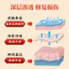 Shuo Jian Medicina Tradicional Três-Zhao Adesivo Artemísia Adesivo de Moxabustão Cuidado Suave Adesivo para o Umbigo Adesivo Sanfu em Estoque Produto Mais Vendido