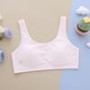 Ropa interior de desarrollo de dos etapas para adolescentes niñas, chaleco fino transpirable anti-golpes, sujetador deportivo para educación física de estudiantes de secundaria