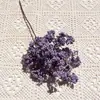 Ramo Único 8 Pontas Espuma Espinho Fruta Flor Artificial Flor Falsa Decoração Suave para Casa Casamento Hotel Fotografia Materiais para Arranjo Floral
