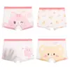 Frete Grátis Verão Malha Seda Gelada Meninas Confortáveis Antibacterianos Boxer Briefs para Crianças Maiores e Meninas Pequenas, Roupa Íntima Fresca Macia Respirável