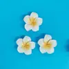 Flor de Huevo Facial Brillante Flor de Bauhinia de Cinco Pétalos DIY Hecho a Mano Gel de Crema Pasador Accesorios de Resina Funda para Teléfono Móvil Pegatina Tridimensional