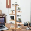 Celebração da Internet Rack de Flores Carnudas Multicamadas Interno Sala de Estar Casa Desktop Decorativo Varanda Rack de Bambu Rack de Balanço Multicamadas Atacado