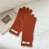 Nuevos Guantes Tejidos Trenzados Transfronterizos de Otoño e Invierno para Mujer con Pantalla Táctil sin Dedos para Ciclismo Cálidos de Lana Color Caramelo