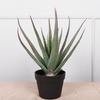 Aloe Vera Artificial Escandinavo en Maceta Decoración Interior para el Hogar Maceta Grande Suculentas Adornos Planta Verde Artificial Aloe Vera Mayoreo