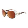 Gafas de Sol Ovaladas Grandes para Mujer, Diseño de Varillas Decorativas, Múltiples Colores, Tonos de Moda