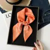 Lenço de Seda Estampado Castanha Cross70 Seda Falsa Lenço de Cabeça Estilo Rua Europeu e Americano Versátil Amarrilho de Cintura Cinto Lenço Quadrado Atacado