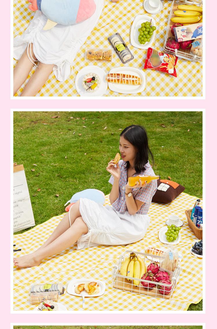 野餐垫-11