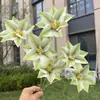 Flor de Madeira Gou Montanha Ganso 8 Cantos Simulação Casamento Decoração de Casa Colocação Flor Artificial Atacado