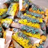 7+1 Frijoles Espaciales de Silicona Suaves Competitivos Transparentes Juego de Línea de Pesca a Granel Columna Recta Goma Señuelo Redondo Frijoles Espaciales
