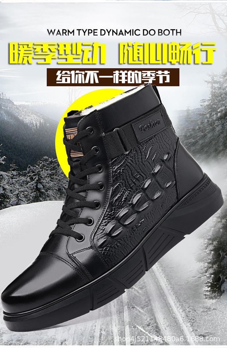 1_02.jpg