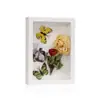 Marco de Espécimen Hueco 3D de 3/5 cm Soporte de Exhibición Hecho a Mano DIY para Mariposas, Conchas, Flores Secas Marco de Conservación y Exhibición