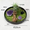 Adornos de Micro Paisaje de Cristal Natural Grava Verde Oliva Racimo de Piedra Cruda Amatista Madera Intemperie Decoración de Escritorio de Oficina