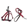 Conjunto de coleira e arreio de nylon bicolor para animais de estimação, direto da fábrica, com fivela de LED para passear com o cachorro