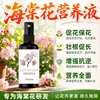 ¿Qué hacer si las flores de Begonia tienen hojas amarillentas, se marchitan, los capullos se caen, tienen manchas negras y no florecen, y cuál es la solución nutritiva promotora de floración especial y el fertilizante especial?