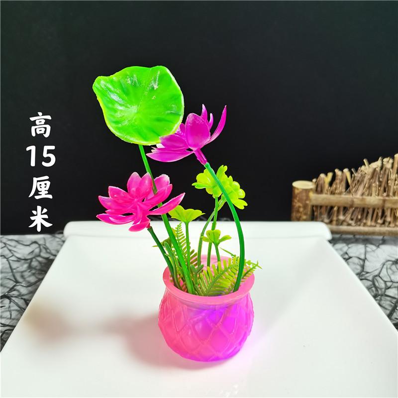 QQ图片20210625103554