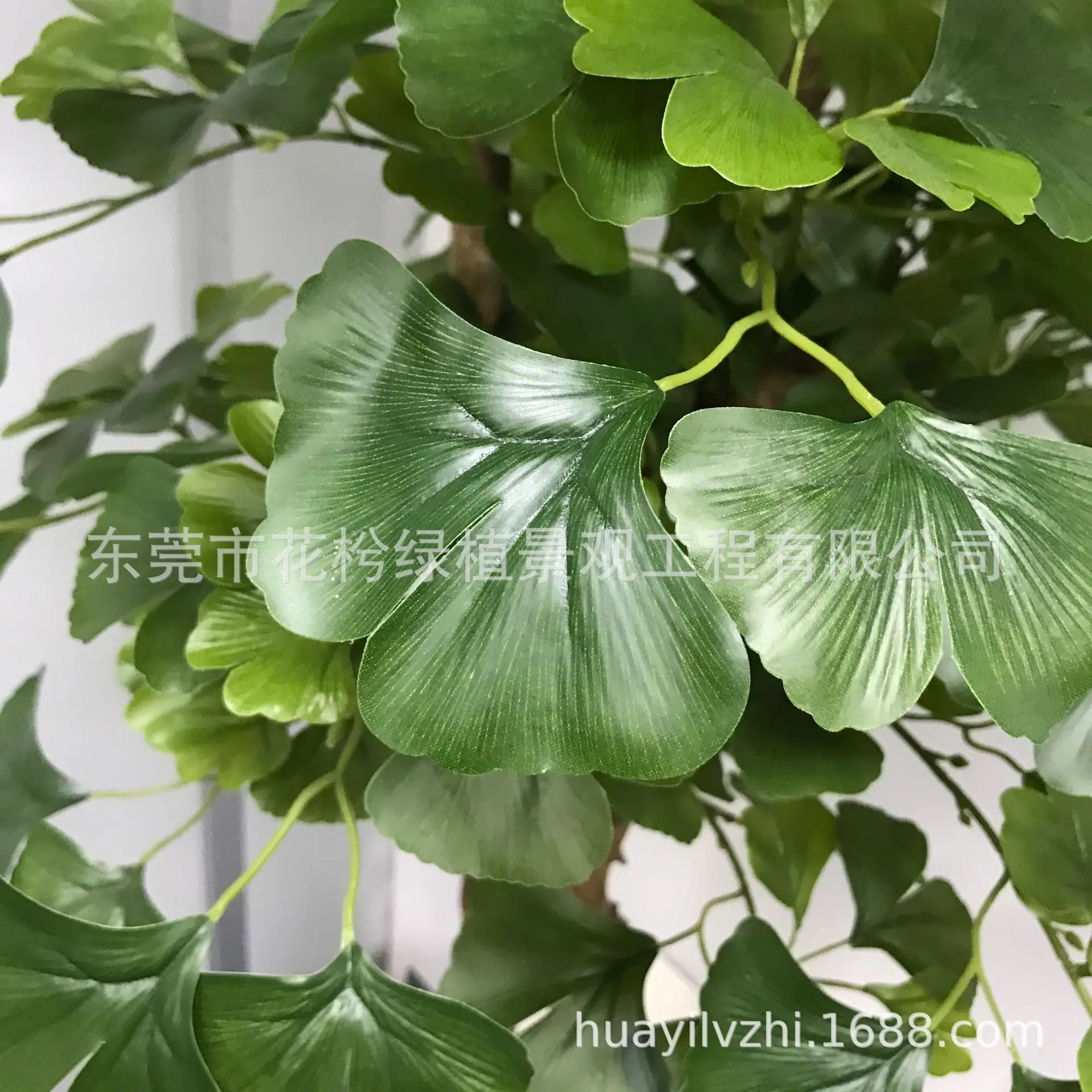 微信图片_202105280944522