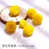 Pacote de Material de Flores Secas Espécime Jardim de Infância Casca de Fruta Caseira Flor Seca Bolota Porta-Retrato Espécime Pinha Porta-Retrato DIY Feito à Mão